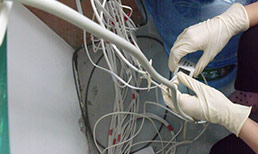 工业一次性手套案例