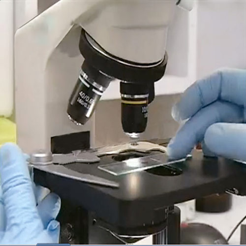 医用一次性手套案例