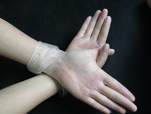 一次性无粉食品PVC手套240mm